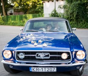 Ksenia i Wacław (261)